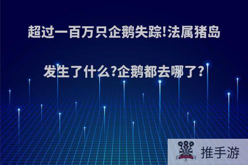 超过一百万只企鹅失踪!法属猪岛发生了什么?企鹅都去哪了?