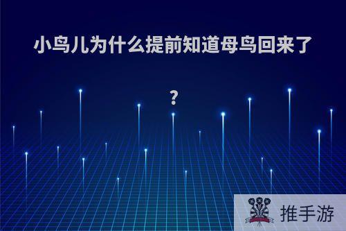 小鸟儿为什么提前知道母鸟回来了?