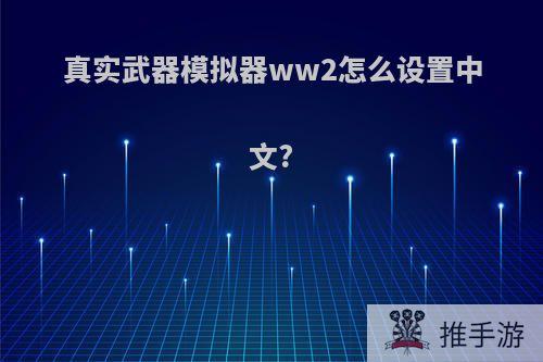 真实武器模拟器ww2怎么设置中文?