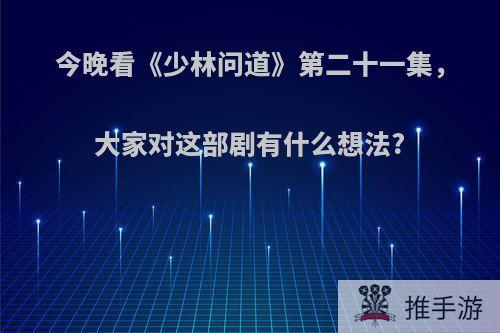 今晚看《少林问道》第二十一集，大家对这部剧有什么想法?