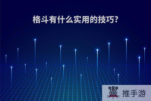 格斗有什么实用的技巧?