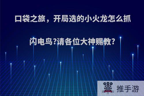 口袋之旅，开局选的小火龙怎么抓闪电鸟?请各位大神赐教?