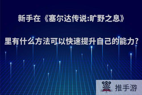 新手在《塞尔达传说:旷野之息》里有什么方法可以快速提升自己的能力?