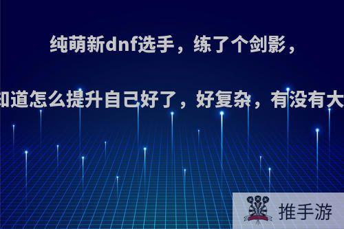 纯萌新dnf选手，练了个剑影，刚满级，不知道怎么提升自己好了，好复杂，有没有大佬指点指点?