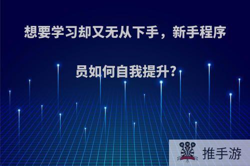 想要学习却又无从下手，新手程序员如何自我提升?