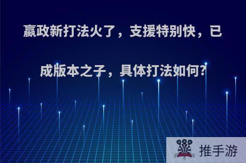 嬴政新打法火了，支援特别快，已成版本之子，具体打法如何?