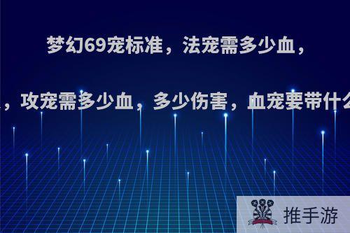 梦幻69宠标准，法宠需多少血，多少灵，攻宠需多少血，多少伤害，血宠要带什么技能?