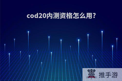 cod20内测资格怎么用?