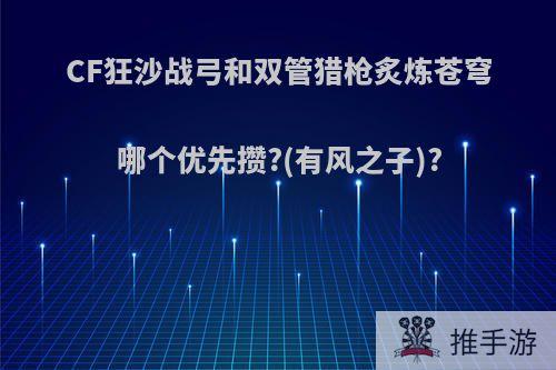 CF狂沙战弓和双管猎枪炙炼苍穹哪个优先攒?(有风之子)?