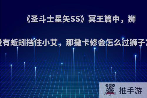 《圣斗士星矢SS》冥王篇中，狮子宫前如果没有蚯蚓挡住小艾，那撒卡修会怎么过狮子宫?打过去吗?