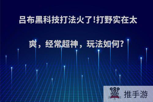 吕布黑科技打法火了!打野实在太爽，经常超神，玩法如何?