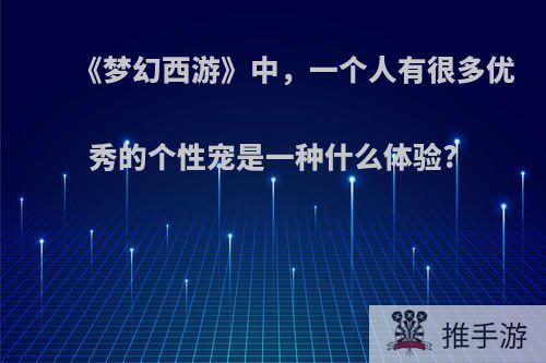 《梦幻西游》中，一个人有很多优秀的个性宠是一种什么体验?