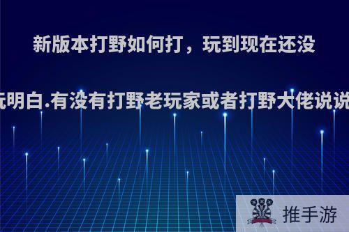 新版本打野如何打，玩到现在还没玩明白.有没有打野老玩家或者打野大佬说说?