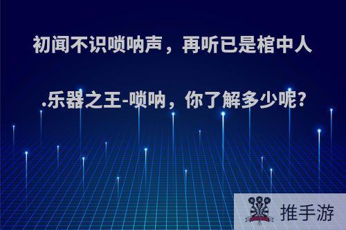 初闻不识唢呐声，再听已是棺中人.乐器之王-唢呐，你了解多少呢?