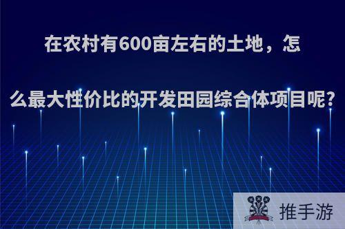 在农村有600亩左右的土地，怎么最大性价比的开发田园综合体项目呢?