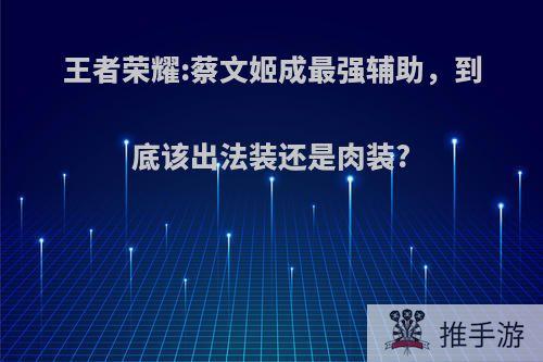 王者荣耀:蔡文姬成最强辅助，到底该出法装还是肉装?