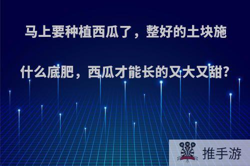 马上要种植西瓜了，整好的土块施什么底肥，西瓜才能长的又大又甜?