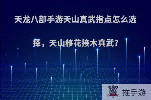 天龙八部手游天山真武指点怎么选择，天山移花接木真武?