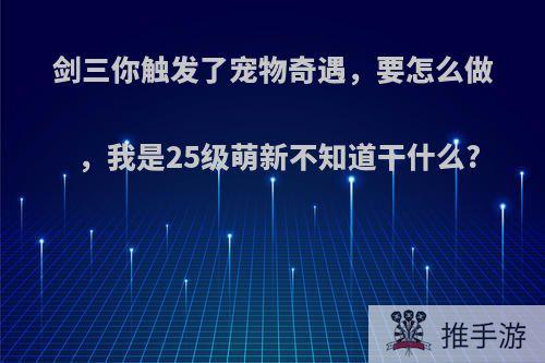 剑三你触发了宠物奇遇，要怎么做，我是25级萌新不知道干什么?