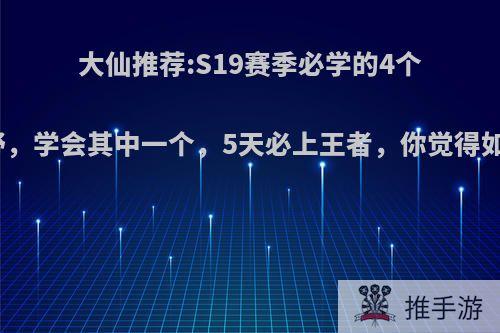 大仙推荐:S19赛季必学的4个打野，学会其中一个，5天必上王者，你觉得如何?