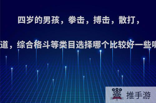 四岁的男孩，拳击，搏击，散打，柔道，综合格斗等类目选择哪个比较好一些呢?