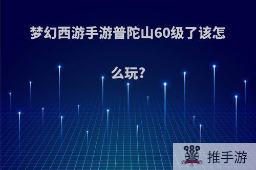 梦幻西游手游普陀山60级了该怎么玩?