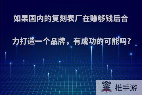 如果国内的复刻表厂在赚够钱后合力打造一个品牌，有成功的可能吗?