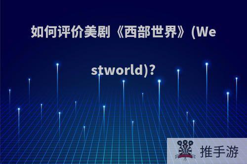 如何评价美剧《西部世界》(Westworld)?