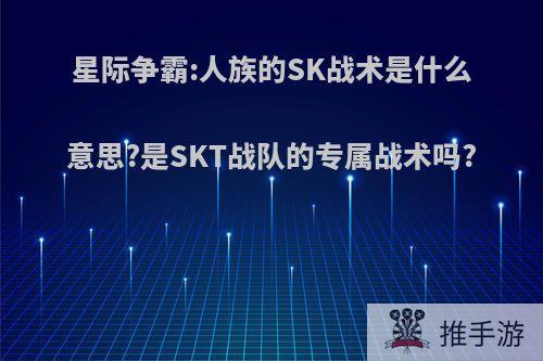 星际争霸:人族的SK战术是什么意思?是SKT战队的专属战术吗?