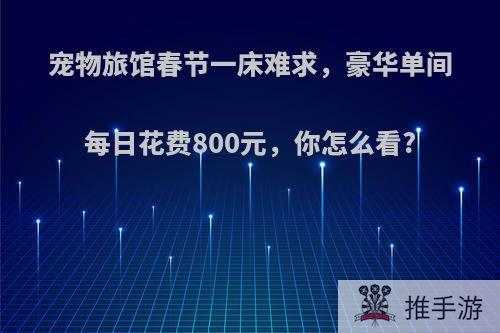 宠物旅馆春节一床难求，豪华单间每日花费800元，你怎么看?