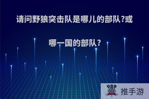 请问野狼突击队是哪儿的部队?或哪一国的部队?