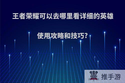 王者荣耀可以去哪里看详细的英雄使用攻略和技巧?