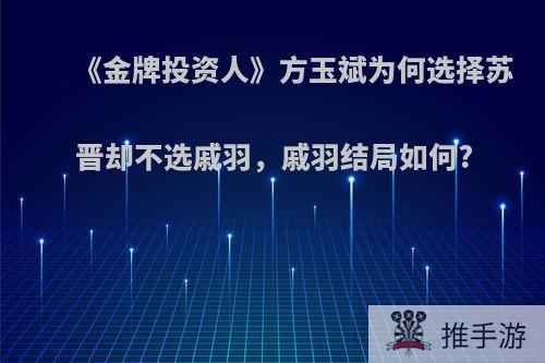 《金牌投资人》方玉斌为何选择苏晋却不选戚羽，戚羽结局如何?