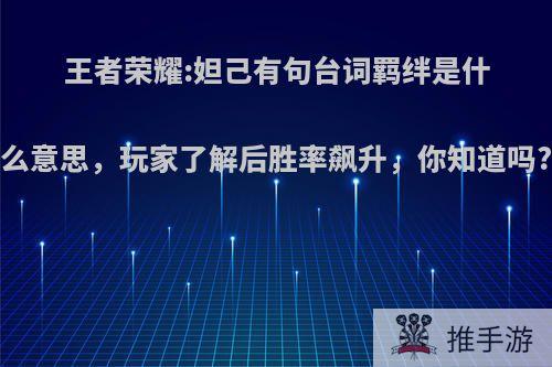 王者荣耀:妲己有句台词羁绊是什么意思，玩家了解后胜率飙升，你知道吗?