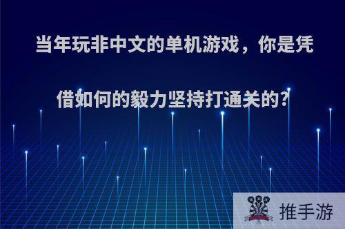 当年玩非中文的单机游戏，你是凭借如何的毅力坚持打通关的?