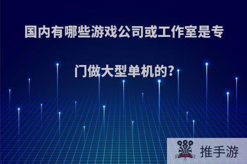 国内有哪些游戏公司或工作室是专门做大型单机的?