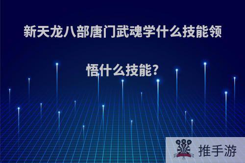 新天龙八部唐门武魂学什么技能领悟什么技能?