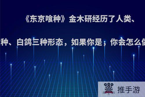 《东京喰种》金木研经历了人类、喰种、白鸽三种形态，如果你是，你会怎么做?