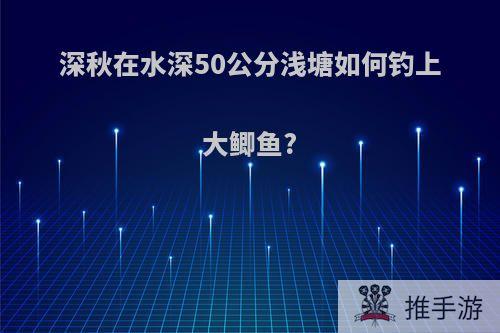 深秋在水深50公分浅塘如何钓上大鲫鱼?