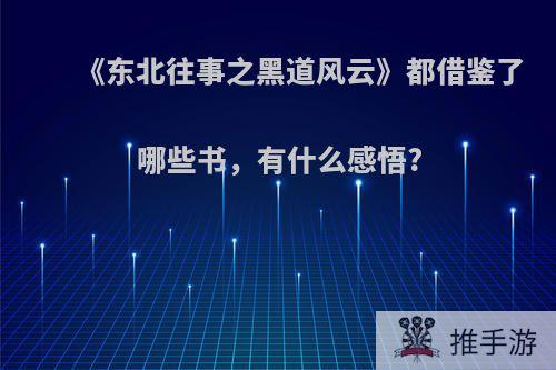 《东北往事之黑道风云》都借鉴了哪些书，有什么感悟?