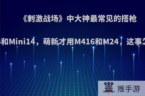 《刺激战场》中大神最常见的搭枪是M16a4和Mini14，萌新才用M416和M24，这事怎么看待?