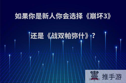 如果你是新人你会选择《崩坏3》还是《战双帕弥什》?