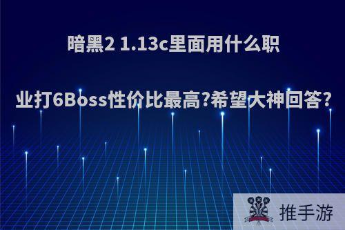 暗黑2 1.13c里面用什么职业打6Boss性价比最高?希望大神回答?