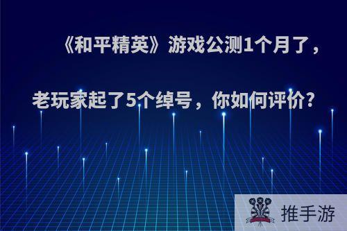 《和平精英》游戏公测1个月了，老玩家起了5个绰号，你如何评价?