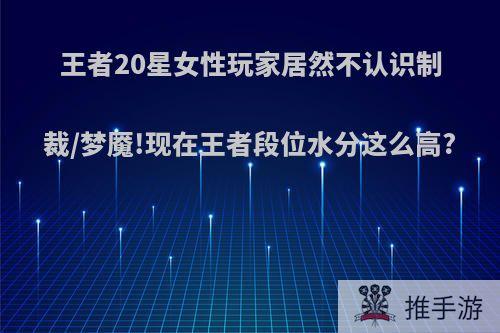 王者20星女性玩家居然不认识制裁/梦魇!现在王者段位水分这么高?