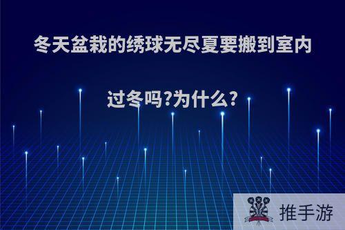 冬天盆栽的绣球无尽夏要搬到室内过冬吗?为什么?