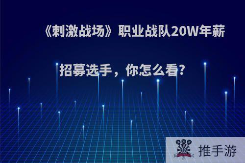 《刺激战场》职业战队20W年薪招募选手，你怎么看?