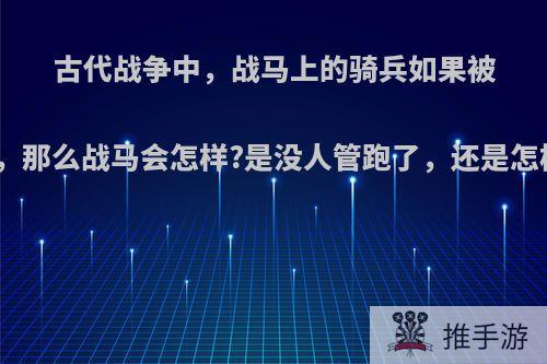 古代战争中，战马上的骑兵如果被杀，那么战马会怎样?是没人管跑了，还是怎样?