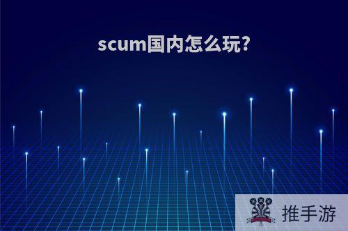 scum国内怎么玩?