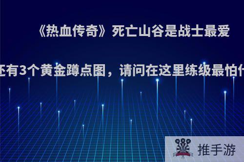 《热血传奇》死亡山谷是战士最爱，还有3个黄金蹲点图，请问在这里练级最怕什么?